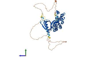 AlphaFold protein structure predicition of Mouse Recombinant Arhgef3 Protein, UniprotID Q91X46