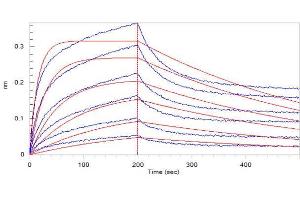 Loaded Human ACE2, Fc Tag ( ABIN6952431) on Protein A Biosensor, can bind 2019-nCoV S1 protein, His Tag ( ABIN6952427) with an affinity constant of 19. (SARS-CoV-2 Spike S1 Protein (His tag))