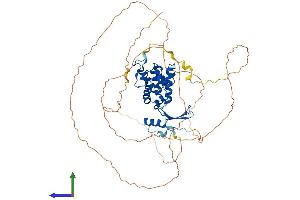 AlphaFold protein structure predicition of Mouse Recombinant Mbd4 Protein, UniprotID Q9Z2D7