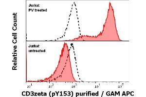 Anti-Hu CD3 zeta (pY153) purified antibody (clone EM-17) works in Flow Cytometry application Analysis of the antibody staining was performed on Jurkat cells treated or untreated with pervanadate (PV) prior to the fixation and permeabilization of cell suspension with cold methanol. (CD247 anticorps  (Tyr153))