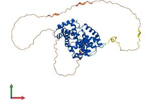 AlphaFold protein structure predicition of Mouse Recombinant Ccnb1 Protein, UniprotID P24860