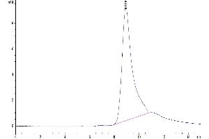 The purity of Biotinylated Mouse BCMA is greater than 95 % as determined by SEC-HPLC.