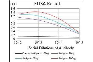 anti-DIS3-Like Exonuclease 2 (DIS3L2) (AA 27-250) antibody