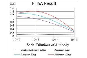 Black line: Control Antigen (100 ng), Purple line: Antigen(10 ng), Blue line: Antigen (50 ng), Red line: Antigen (100 ng), (DIS3L2 anticorps  (AA 27-250))