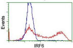 Flow Cytometry (FACS) image for anti-Interferon Regulatory Factor 6 (IRF6) antibody (ABIN1498902) (IRF6 anticorps)