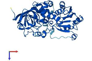 AlphaFold protein structure predicition of Human Recombinant ADH6 Protein, UniprotID P28332