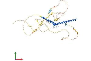AlphaFold protein structure predicition of Human Recombinant MYCN Protein, UniprotID P04198