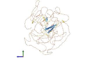 AlphaFold protein structure predicition of Mouse Recombinant Pom121 Protein, UniprotID Q8K3Z9