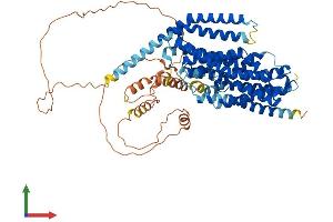 AlphaFold protein structure predicition of Mouse Recombinant Slc20a2 Protein, UniprotID Q80UP8