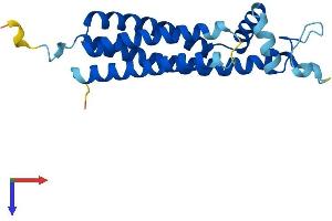 AlphaFold protein structure predicition of Human Recombinant TSPAN13 Protein, UniprotID O95857