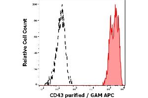 Separation of human CD43 positive lymphocytes (red-filled) from human CD43 negative blood debris (black-dashed) in flow cytometry analysis (surface staining) of human peripheral blood stained using anti-human CD43 (MEM-59) purified antibody (concentration in sample 2 μg/mL, GAM APC).