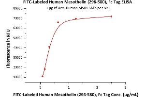 Immobilized A MSLN MAb at 10 μg/mL (100 μL/well) can bind Fed Human Mesothelin (296-580), Fc Tag (ABIN5954924,ABIN6253531) with a linear range of 0.