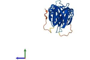 AlphaFold protein structure predicition of Human Recombinant CRYBB3 Protein, UniprotID P26998