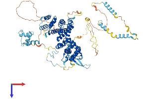 AlphaFold protein structure predicition of Human Recombinant ASCC2 Protein, UniprotID Q9H1I8