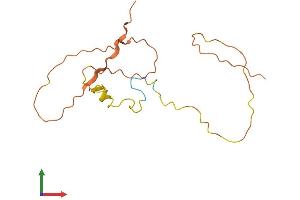 AlphaFold protein structure predicition of Human Recombinant C16orf95 Protein, UniprotID Q9H693