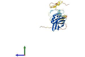 AlphaFold protein structure predicition of Human Recombinant PPP1R3B Protein, UniprotID Q86XI6