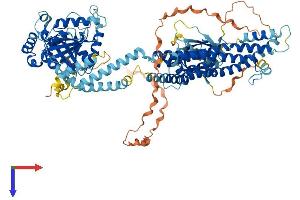 AlphaFold protein structure predicition of Human Recombinant DNM2 Protein, UniprotID P50570