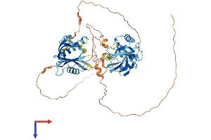 AlphaFold protein structure predicition of Human Recombinant APBA3 Protein, UniprotID O96018