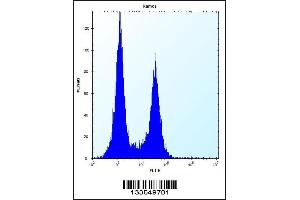 Flow cytometric analysis of Ramos cells (right histogram) compared to a negative control cell (left histogram). (UBN2 anticorps  (N-Term))