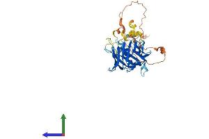 AlphaFold protein structure predicition of Human Recombinant PLSCR4 Protein, UniprotID Q9NRQ2