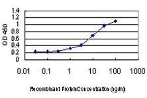 Detection limit for recombinant GST tagged GDI1 is approximately 0. (GDI1 anticorps  (AA 1-447))