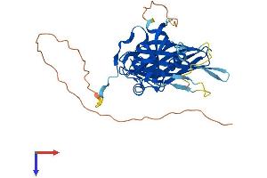 AlphaFold protein structure predicition of Human Recombinant POLDIP2 Protein, UniprotID Q9Y2S7