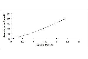 Typical standard curve