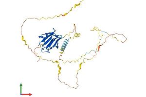 AlphaFold protein structure predicition of Mouse Recombinant Ppp1r8 Protein, UniprotID Q8R3G1