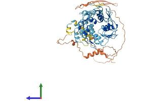 AlphaFold protein structure predicition of Human Recombinant ZNF879 Protein, UniprotID B4DU55