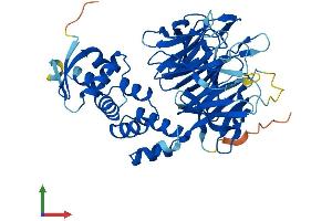 AlphaFold protein structure predicition of Human Recombinant KBTBD13 Protein, UniprotID C9JR72