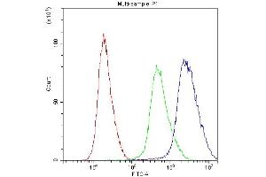Flow Cytometry analysis of PC-3 cells using anti-PTP4A2 antibody (ABIN3043911).