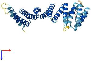 AlphaFold protein structure predicition of Human Recombinant NAPB Protein, UniprotID Q9H115