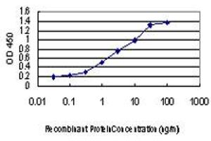 Detection limit for recombinant GST tagged CDKL1 is approximately 0. (CDKL1 anticorps  (AA 259-358))