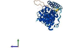 AlphaFold protein structure predicition of Mouse Recombinant Tomm34 Protein, UniprotID Q9CYG7