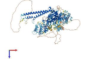 AlphaFold protein structure predicition of Human Recombinant USP28 Protein, UniprotID Q96RU2