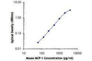 ELISA image for anti-Chemokine (C-C Motif) Ligand 2 (CCL2) antibody (ABIN2665265)