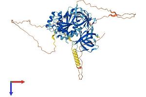 AlphaFold protein structure predicition of Mouse Recombinant Gspt2 Protein, UniprotID Q149F3