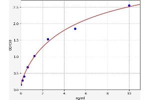 Angiopoietin-Like 4 (ANGPTL4) ELISA Kit