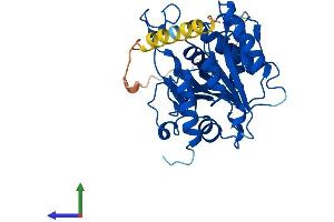 AlphaFold protein structure predicition of Human Recombinant B3GALT1 Protein, UniprotID Q9Y5Z6