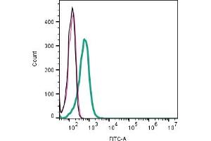 Cell surface detection of LAT2 (SLC7A8) by direct flow cytometry in live intact human Jurkat T-cell leukemia cell line: + Rabbit IgG Isotype Control-FITC (ABIN7582044).