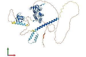 AlphaFold protein structure predicition of Human Recombinant STAM2 Protein, UniprotID O75886