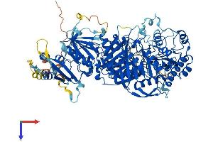 AlphaFold protein structure predicition of Mouse Recombinant Pld2 Protein, UniprotID P97813