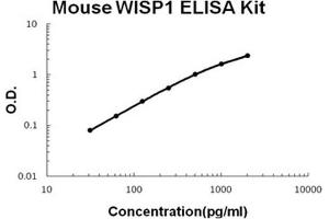 Mouse WISP1/CCN4 PicoKine ELISA Kit standard curve (WISP1 Kit ELISA)