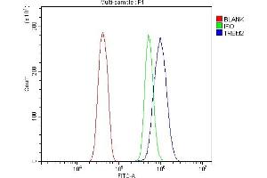 Flow Cytometry analysis of RH35 cells using anti-Trem2 antibody (ABIN7600398).