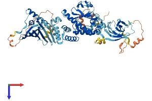 SEC14-Like 5 (SEC14L5) (AA 1-696) protein (His tag)