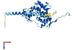 AlphaFold protein structure predicition of Human Recombinant HS2ST1 Protein, UniprotID Q7LGA3