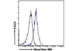 (ABIN184829) Flow cytometric analysis of paraformaldehyde fixed A431 cells (blue line), permeabilized with 0. (ARL6IP5 anticorps  (C-Term))