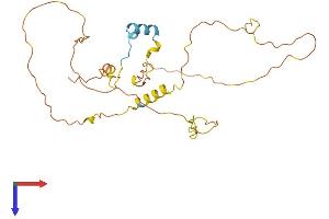AlphaFold protein structure predicition of Mouse Recombinant Cited2 Protein, UniprotID O35740