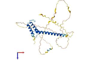 AlphaFold protein structure predicition of Mouse Recombinant Atoh8 Protein, UniprotID Q99NA2