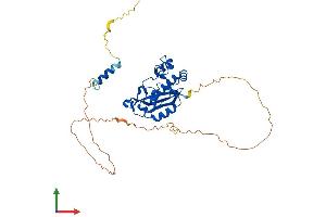 AlphaFold protein structure predicition of Human Recombinant ISG20L2 Protein, UniprotID Q9H9L3